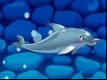 Juego My Dolphin Show 5