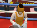 Juego Summer Sports: Boxing
