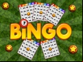 Juego Bingo
