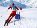 Juego Slalom Ski Simulator