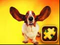 Juego Funny Dogs Puzzle