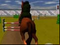 Juego Jumping Horse 3d
