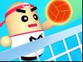 Juego Amazing Volleyball