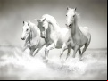 Juego Horses Puzzle