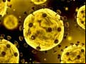 Juego Coronavirus Slide