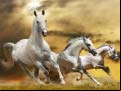 Juego Running Horse Slide