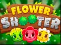 Juego Flower Shooter