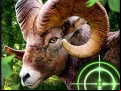 Juego Crazy Goat Hunter 2020
