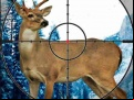 Juego Sniper Stag Hunter