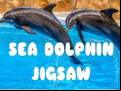 Juego Sea Dolphin Jigsaw