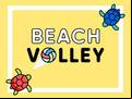 Juego Beach Volley