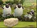Juego Shaun the Sheep Alien Athletics