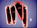 Juego Funny Chorus