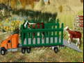 Juego Animal Transport Truck