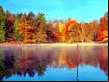 Juego Fishing Simulator Online