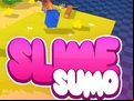 Juego Sumo Slime 3D