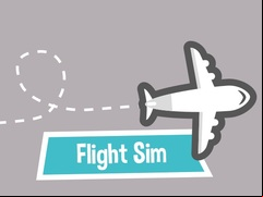 Juego Flight Sim 