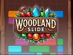 Juego Woodland Slide