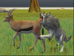 Juego Wolf Life Simulator