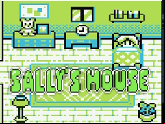 Juego Sally's House