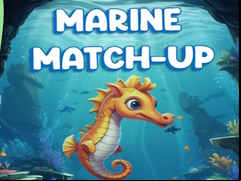 Juego Marine Match Up
