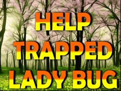 Juego Help Trapped Lady Bug