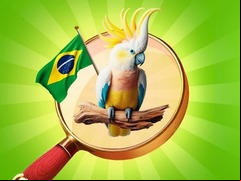 Juego Hidden Objects: Vacation in Brazil