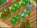 Juego New Farmer 2