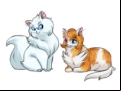 Juegos de Warriors Cats 