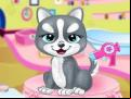 Juegos de animales 